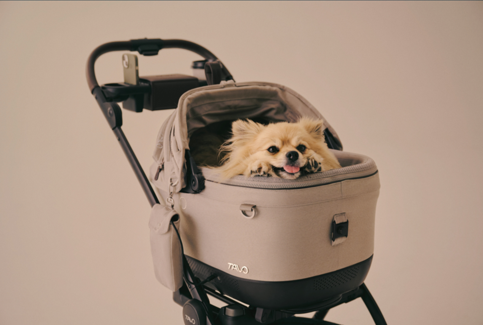 Tavo Pets - Maeve iso Wind 5X + Roscoe Trek (Tawny) | House of Sploot