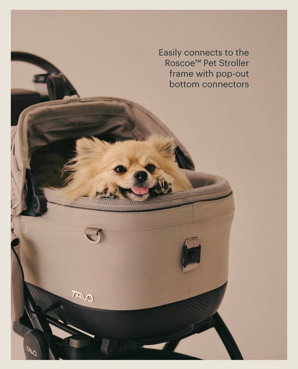 Tavo Pets Maeve™ iso Wind 5X Roscoe™ Trek (Tawny) House of